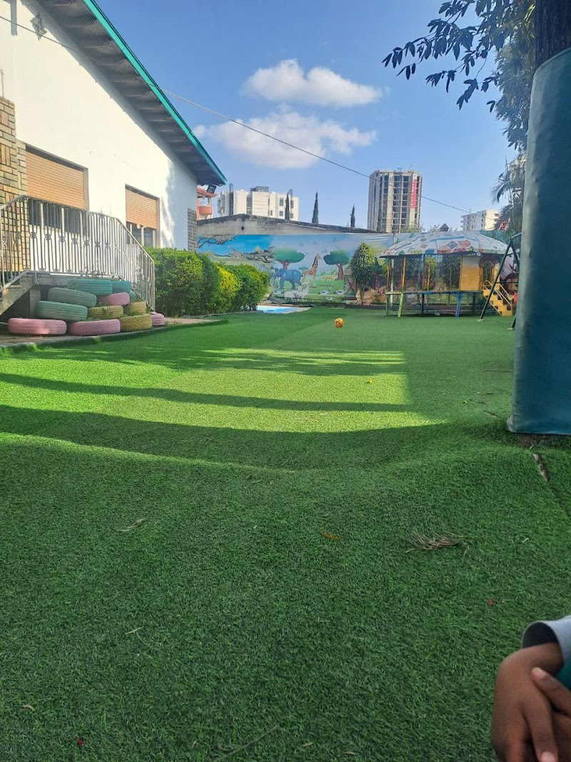 SEED international school networks